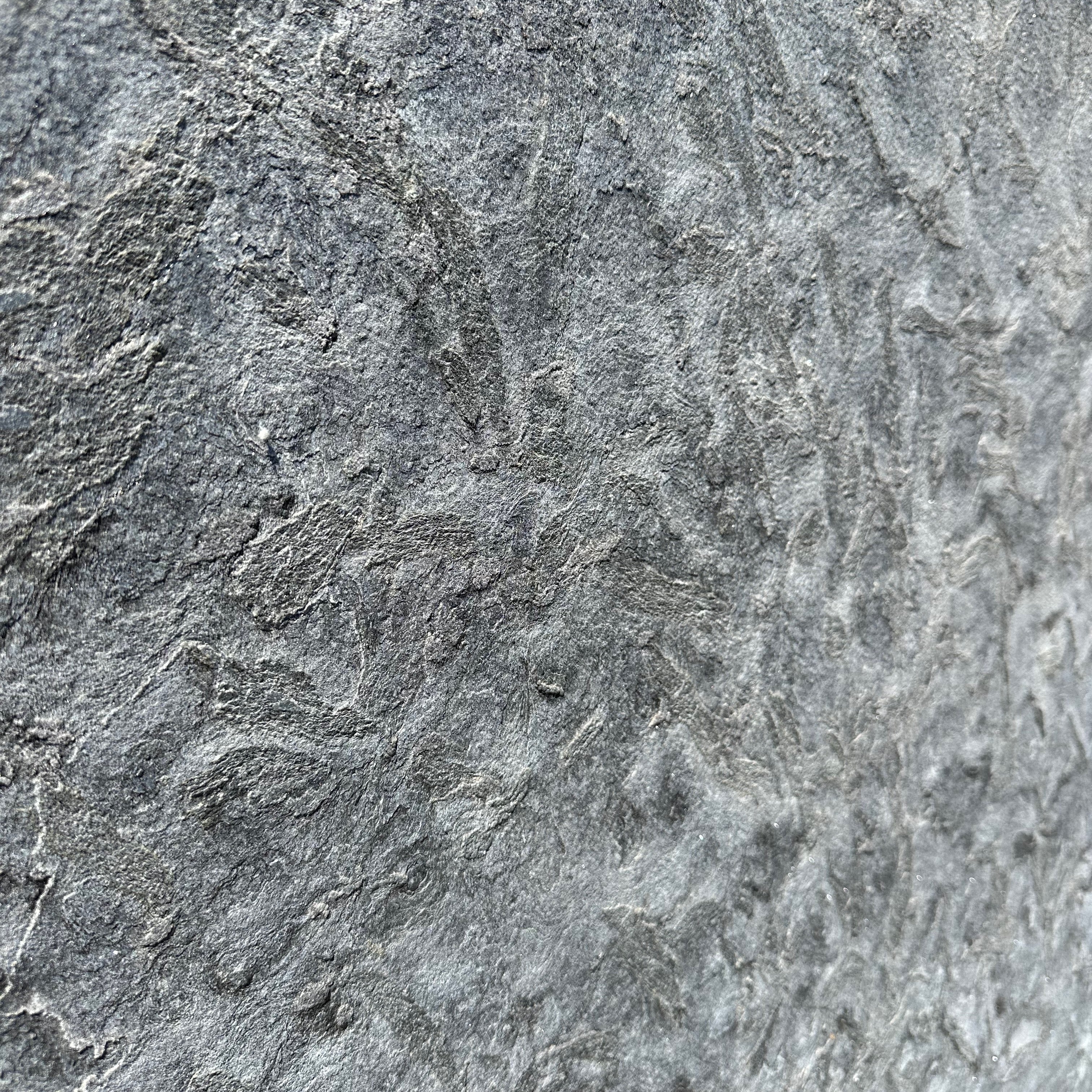Stoneland USA | Matrix Jet 3/4 Waterjet & Flamed Granite Slab