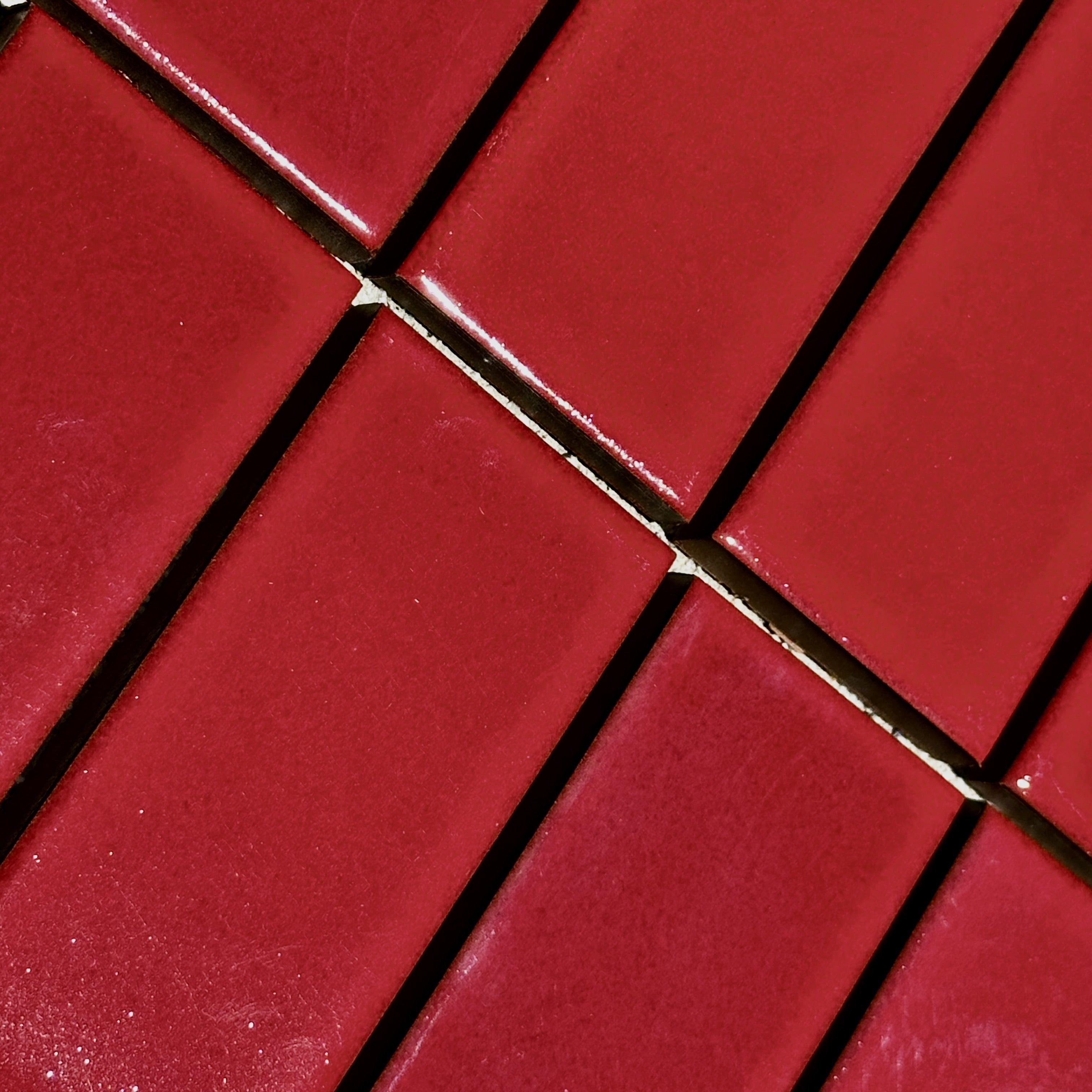 Heath Ceramics | 2x4 Classic Field Tile in Campari