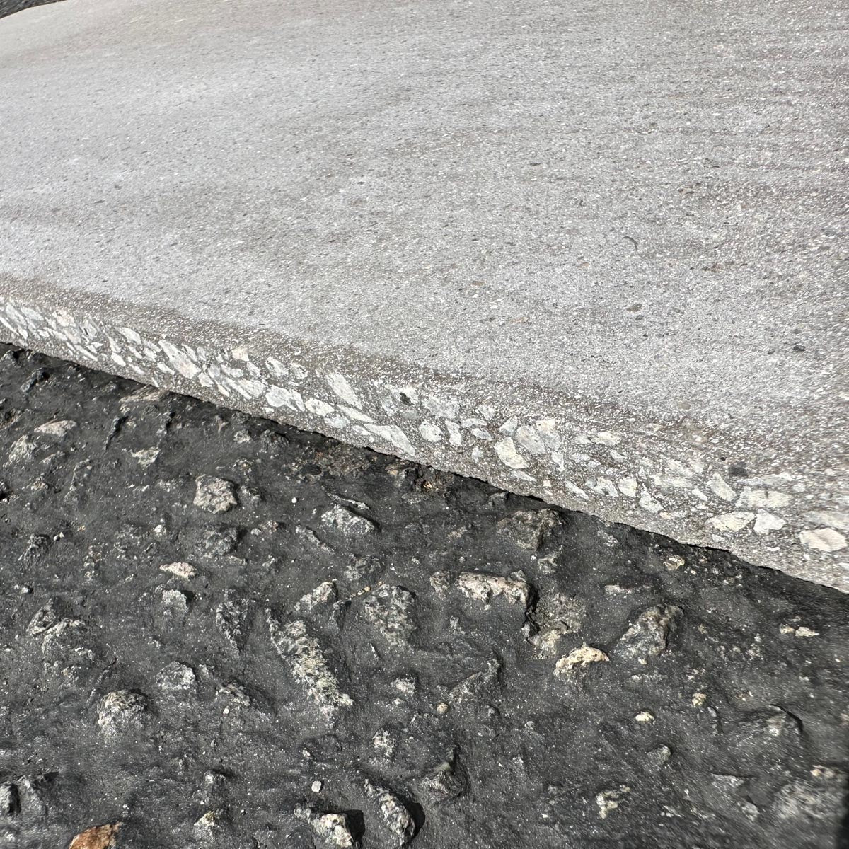 Concrete Collaborative | Trails Fossil Flekk 18x36 Tile