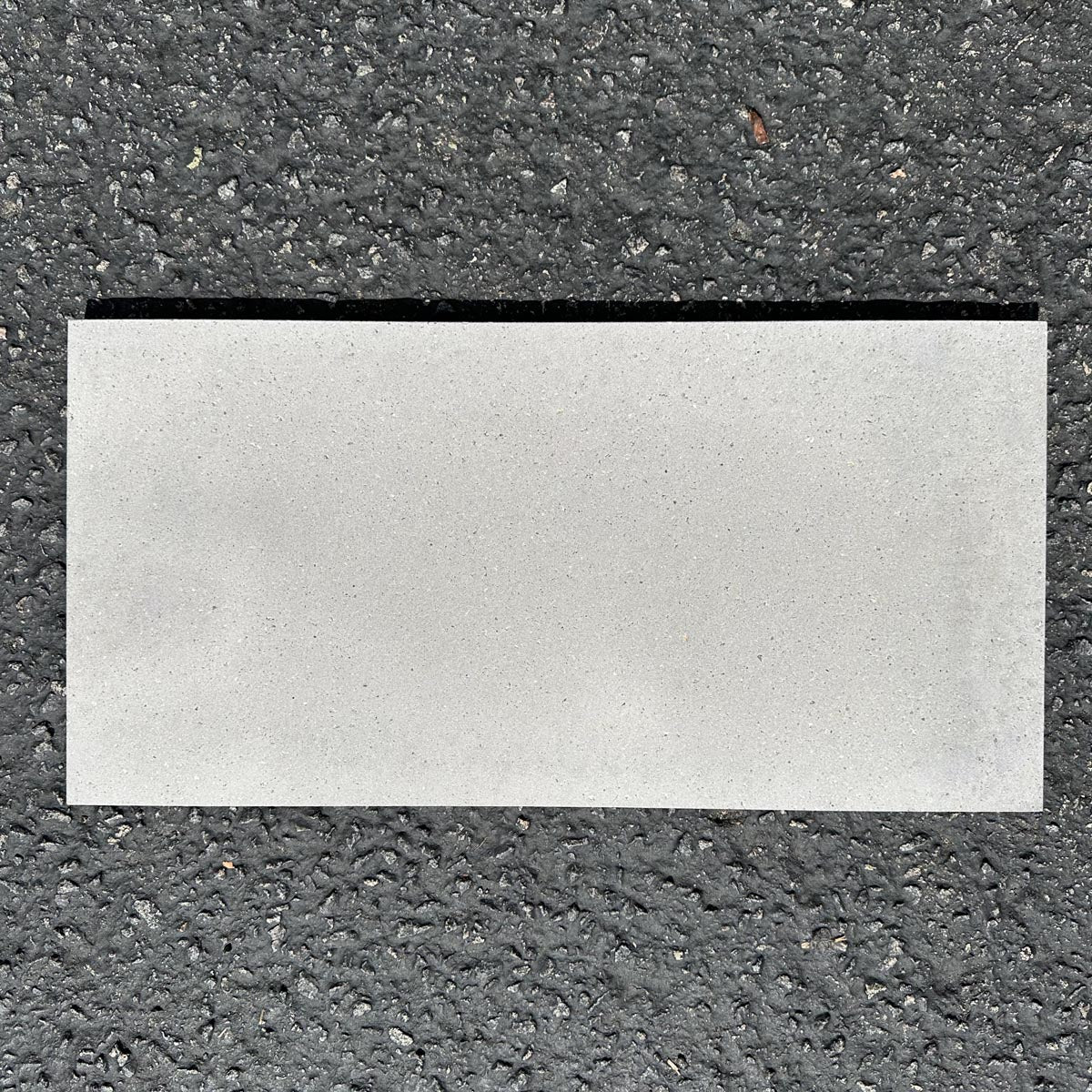 Concrete Collaborative | Trails Fossil Midgrind 12x24 Tile